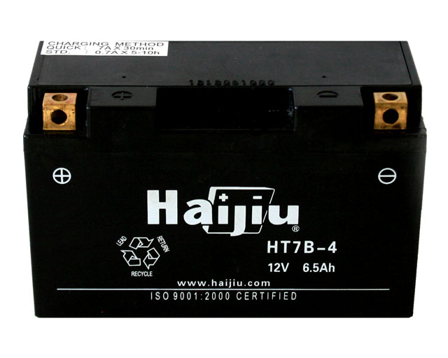 HT7B-4 GEL (HT7B-BS) (149-65-92) + ---